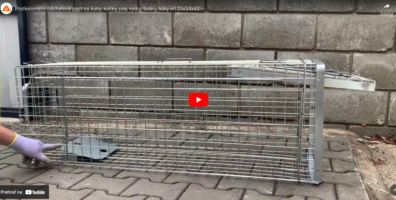 Snímka obrazovky 2025-07-27 o 19.12.13